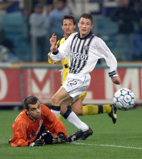 也为国际政 也为国际政