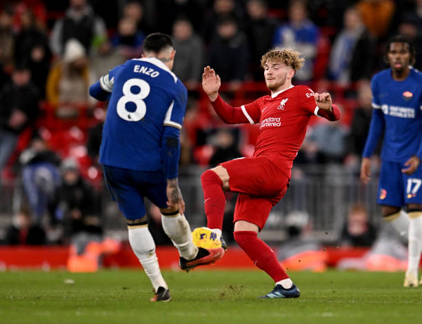 生态安全 生态安全